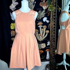 BCBG 6 dress blush pink lace formal nwt